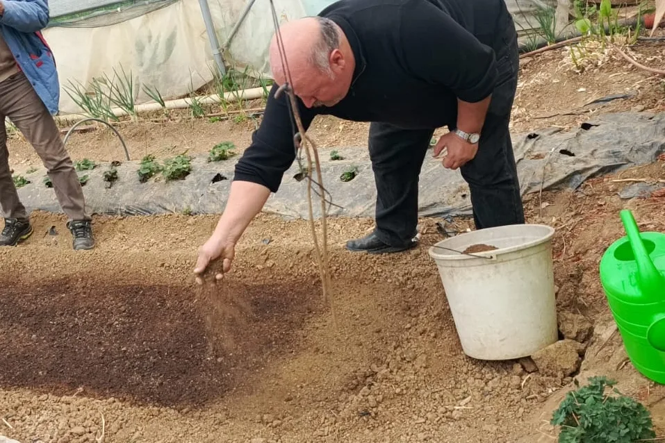 Pazaryeri’nde Tütün Umudu: Üreticide Yüzler Gülüyor