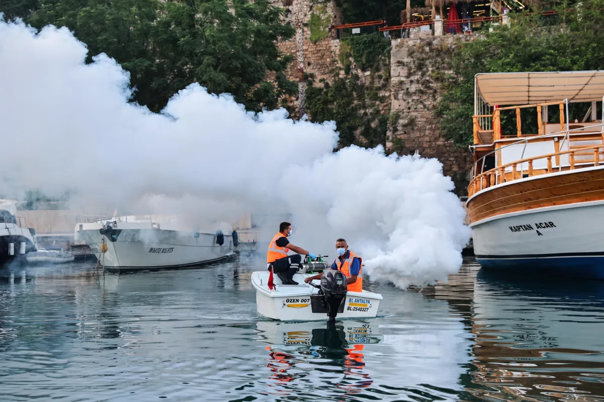 Antalya Sahillerinde Sineklerle Denizden Mücadele