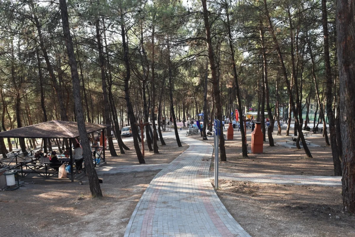 Bursa’da Orman Girişleri 15 Ekim’e Kadar Yasaklandı