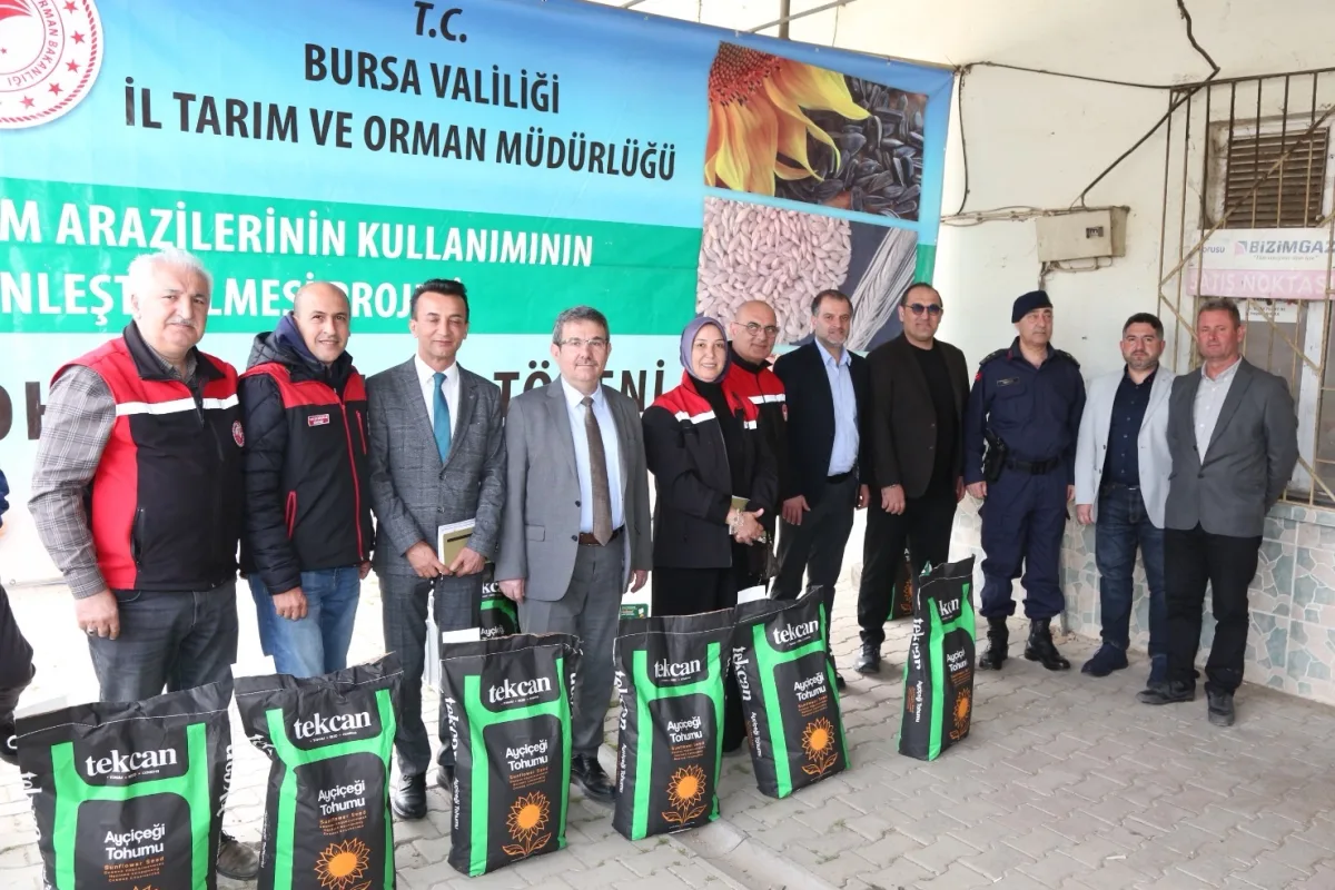 Bursa’da 75% Hibeli Yağlık Tohumu Dağıtıldı