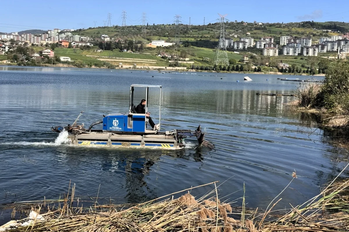 Kocaeli´de Amfibiyle Sulak Alan Temizliği