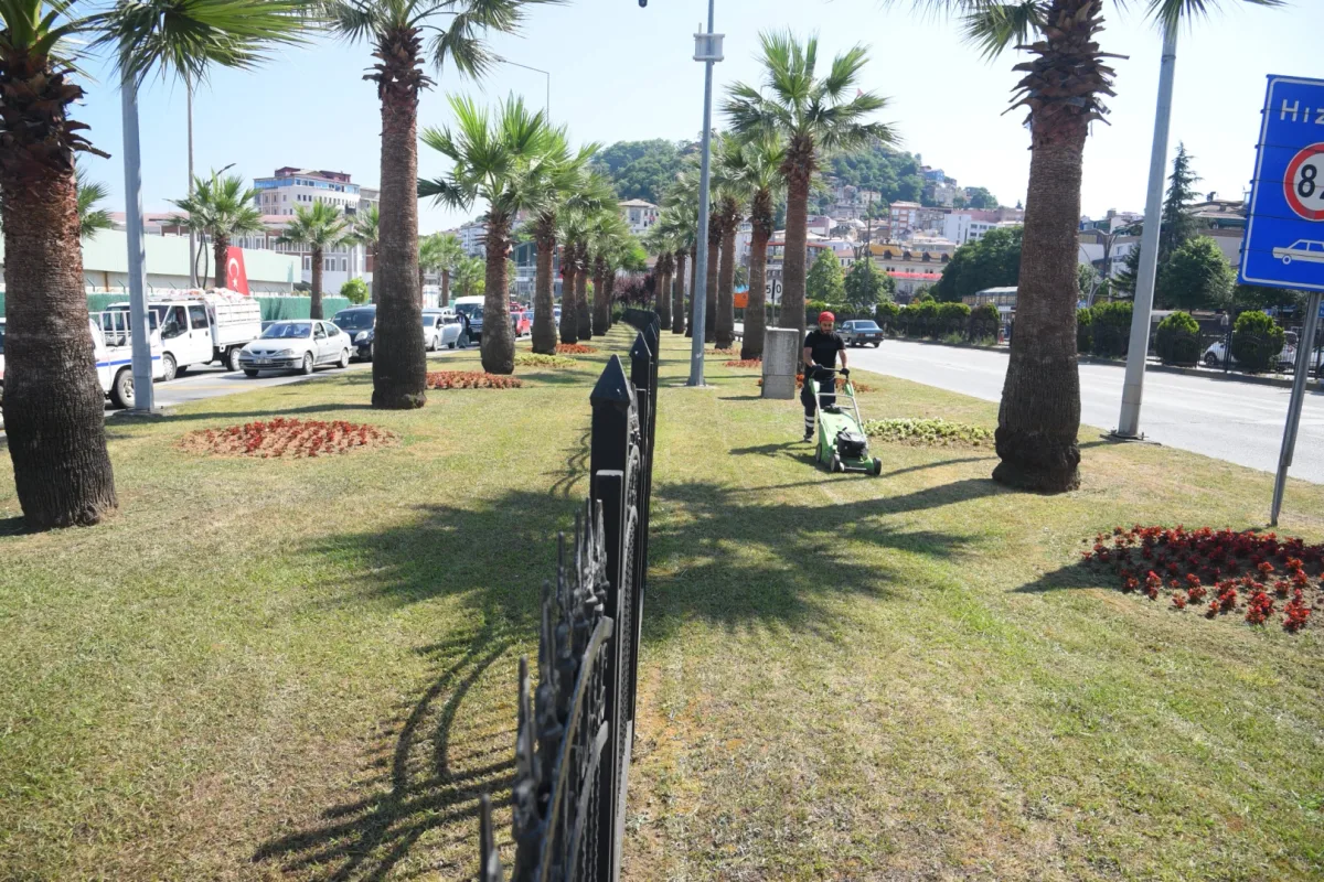 Giresun'da Parklar Daha Yeşil ve Temiz Hale Getiriliyor