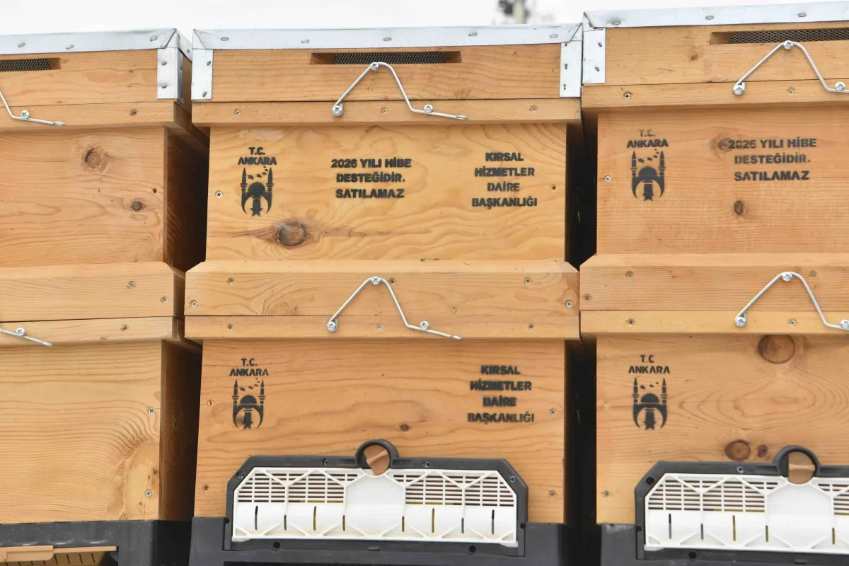 ABB'den Arıcılara Dev Destek: 5 Bin Kovan Hibe Edilecek