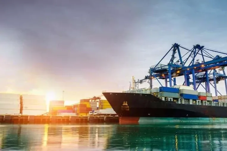 Türk filosu 54,3 milyon DWT'ye ulaştı