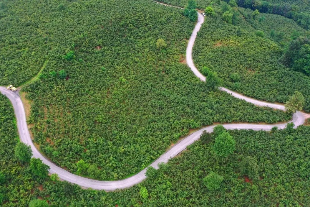 Ulubey'de 7 km'lik yol çalışması tamamlandı