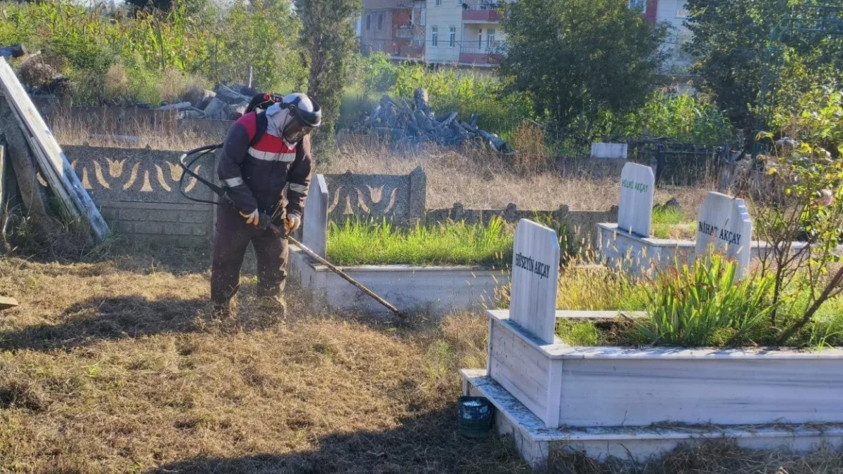 Ordu Mezarlıklarında Kapsamlı Düzenleme Çalışması Başladı