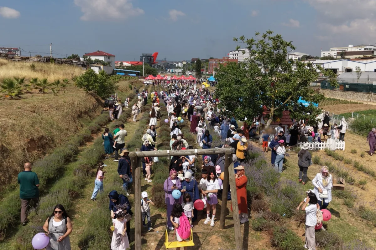 Çayırova’da Lavanta Hasadı Şenliğinde Renkli Anlar Yaşandı