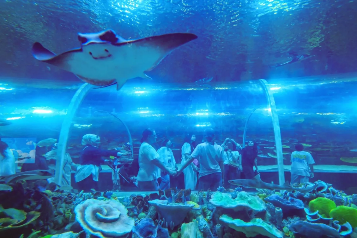 Körfez Aqua Kocaeli’de Ziyaretçilerin Gözdesi Oldu