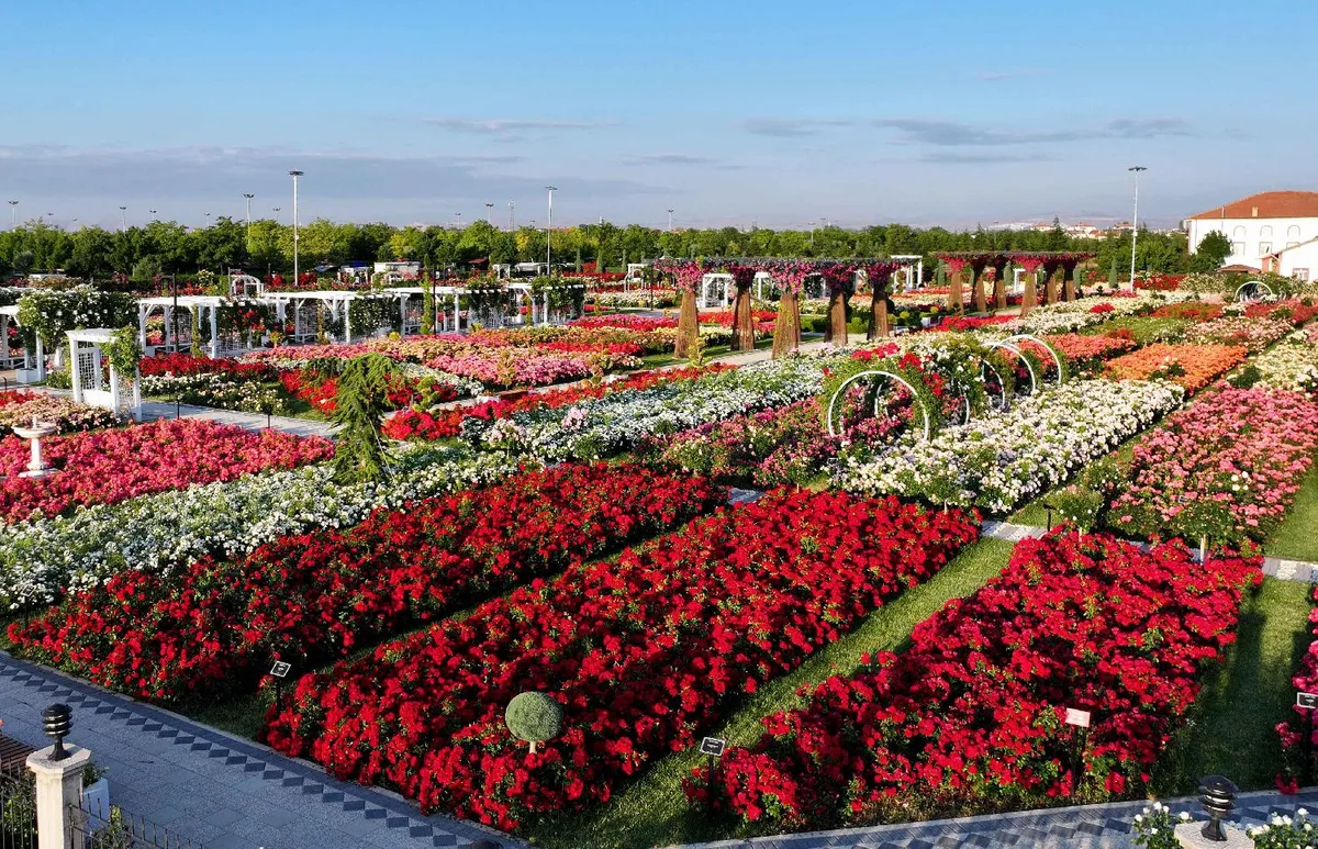 190 Çeşit Gül, Karatay Mevlana Parkında Renkli Çiçek Şöleni