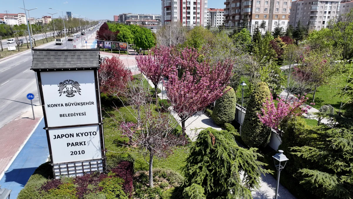 Konya’daki sakura coşkusu: Japonya’ya gerek yok