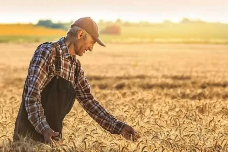 Tarım ÜFE Eylül’da Aylık Bazda %1,99 Gerileti