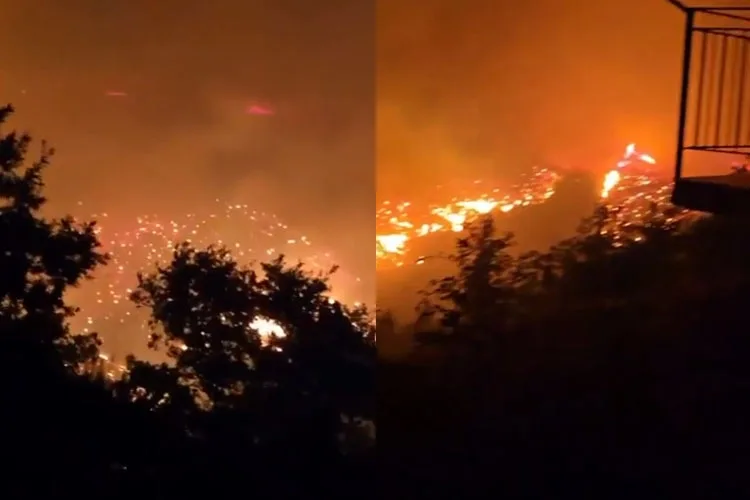 Alanya Yangını 54'er Ev Tahliye Edildi